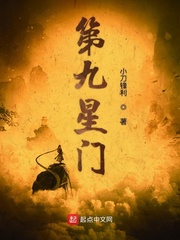 第九星球研究现状